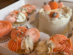 Pumpkin Bento and Cupcakes