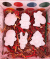 Christmas Cookie Decorating Kit