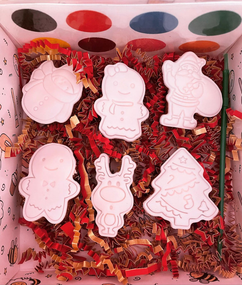 Christmas Cookie Decorating Kit